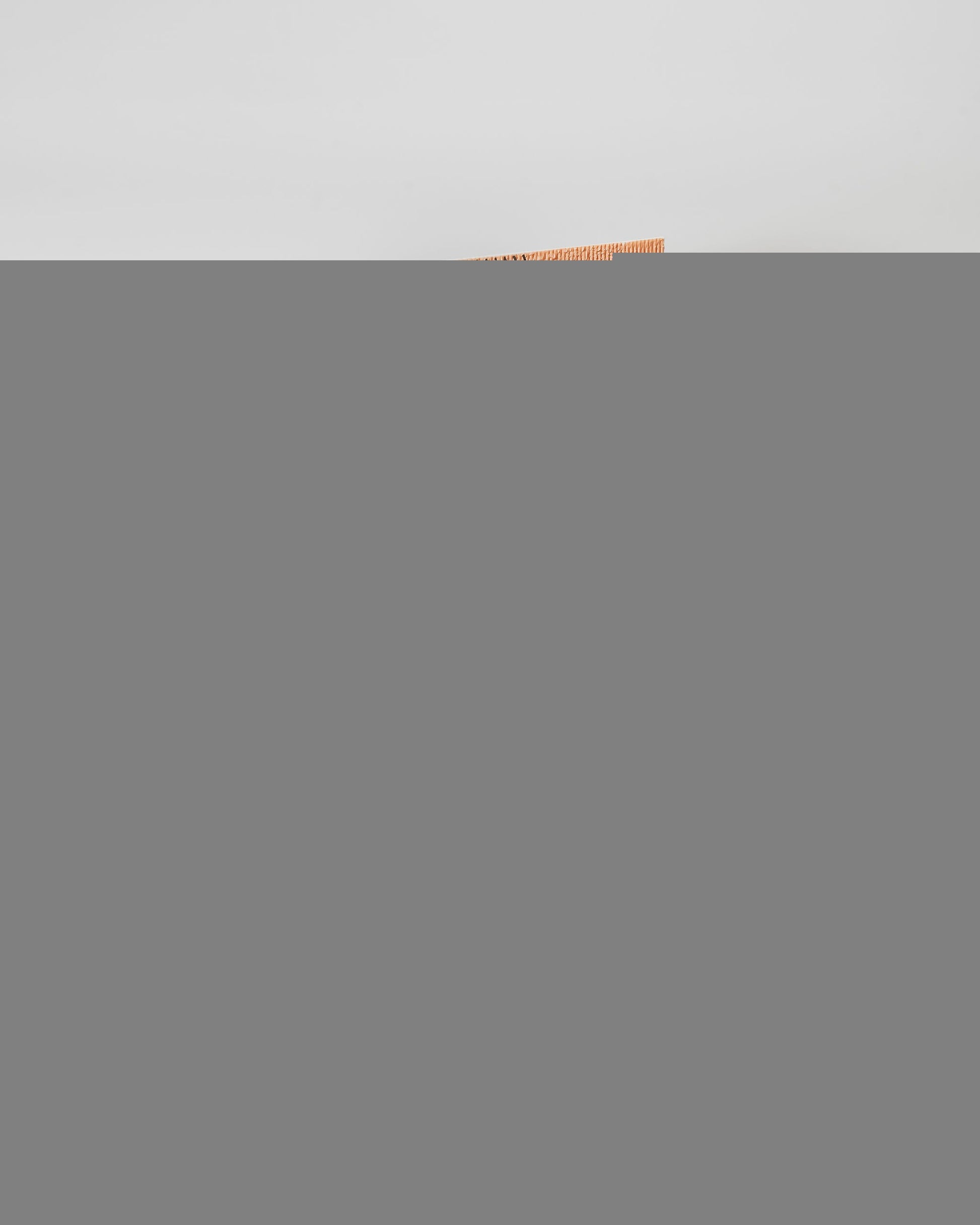 Natural Sea Buckthorn Conditioner, 200ml
